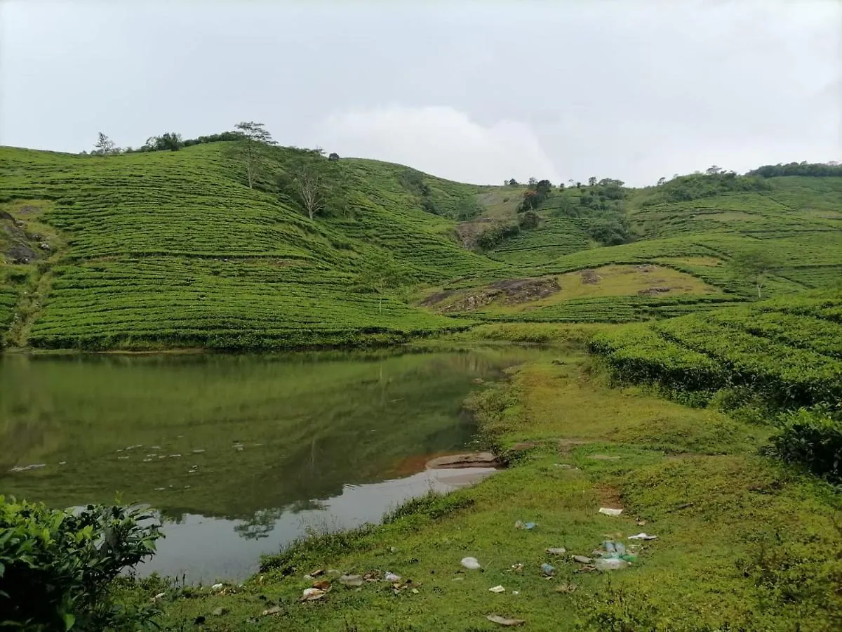 Mist Woods Vagamon Hotel