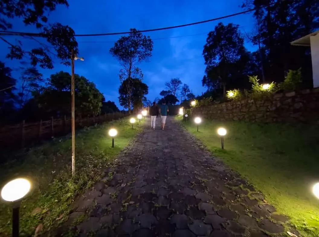 Mist Woods Vagamon Hotel India